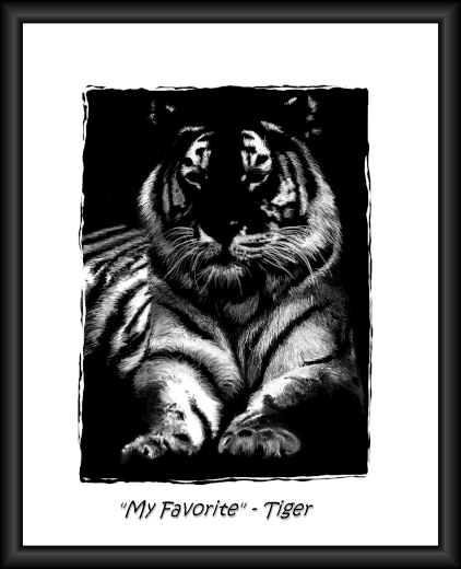 White Tiger
